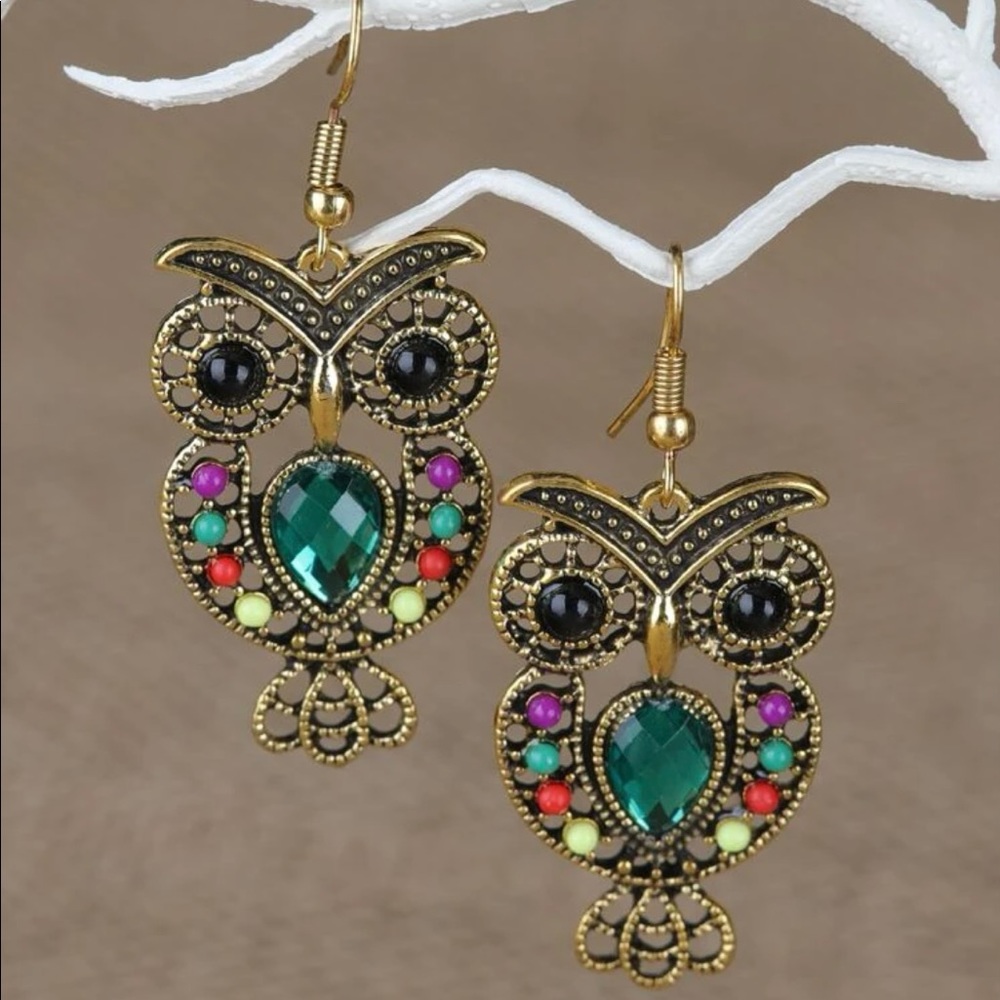 EARRINGS NWOT